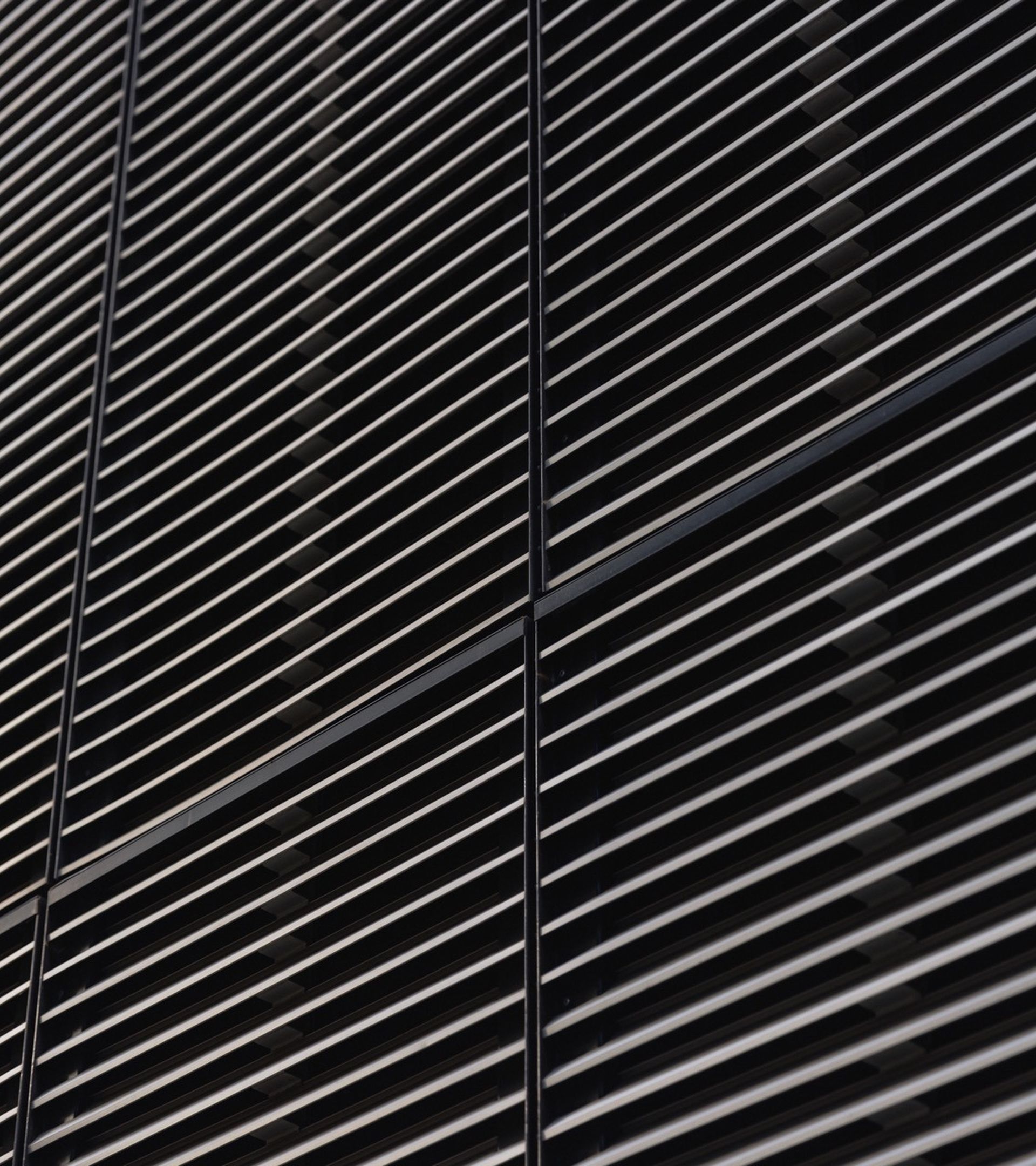 2022 07 July 20 DMAW Photography 3398