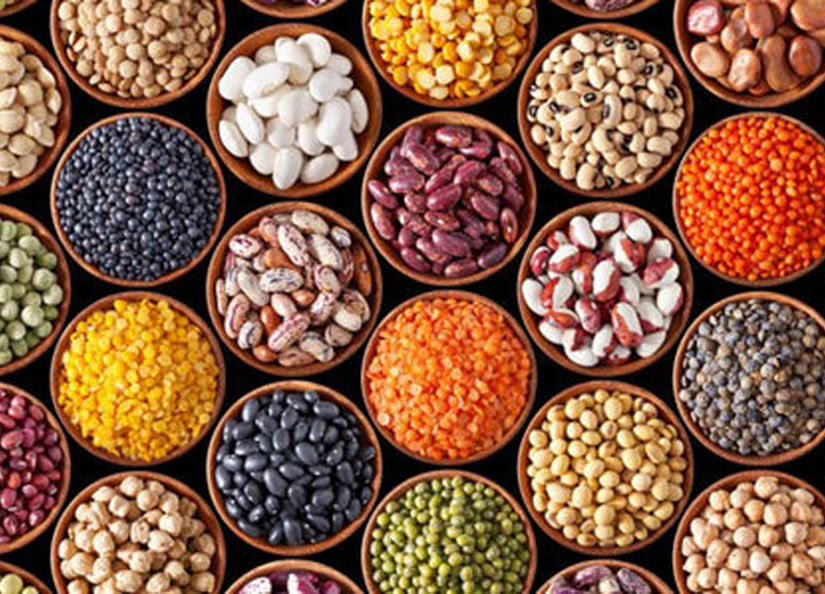 Plant Protein Embedded