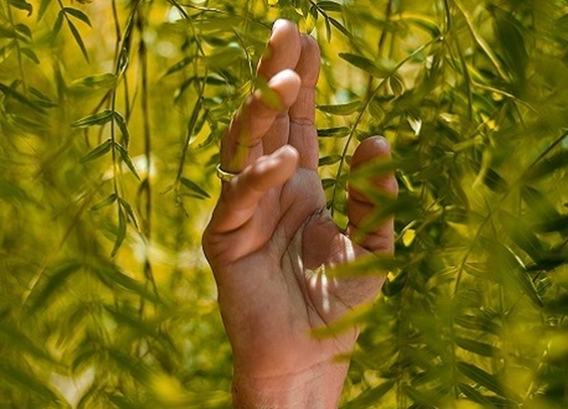 Going green 1