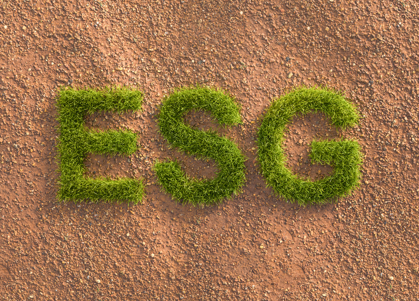 Astro turf spelling out E S G on a textured brown background
