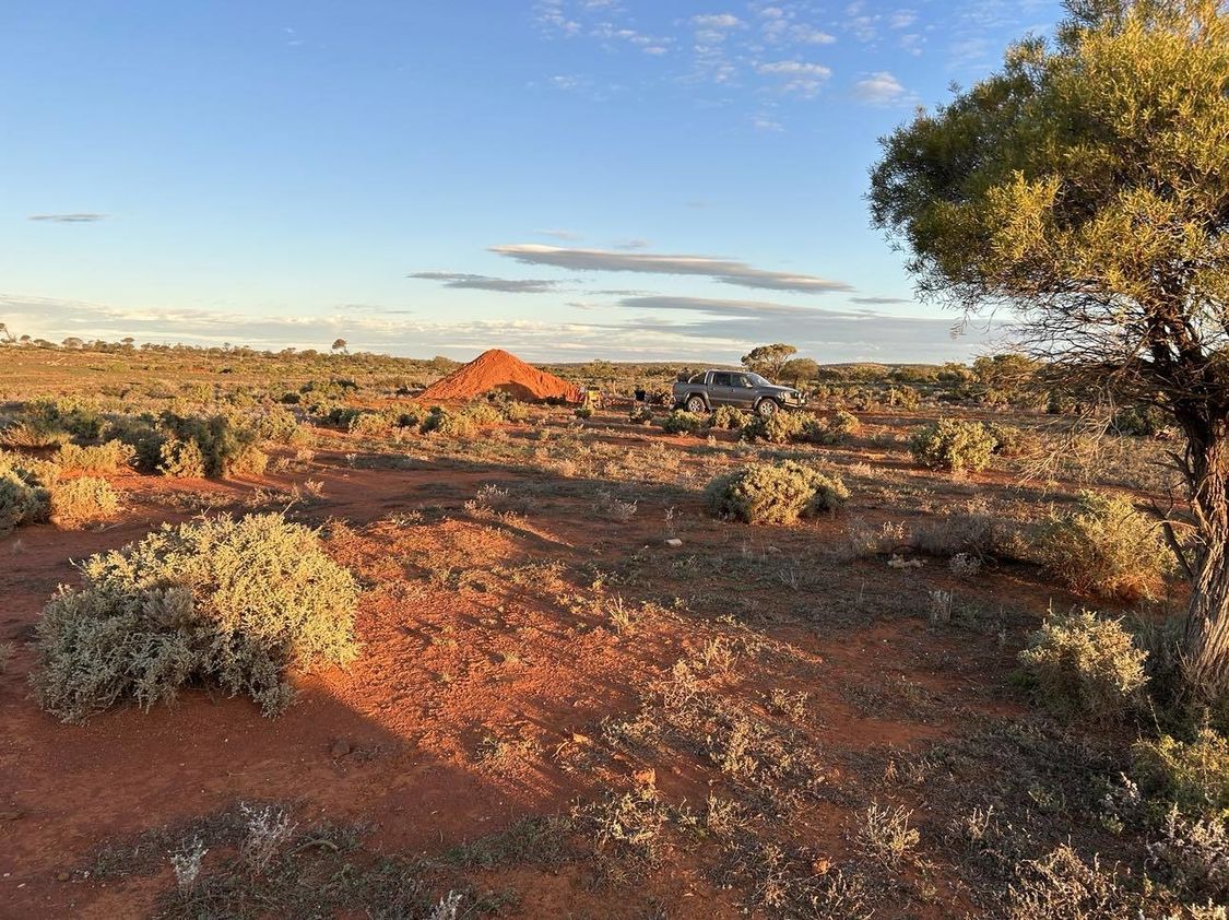 Australian outback landscape with red dirt and dry green scrub