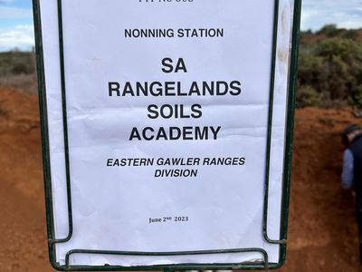 350261916 1353966795166309 8109501903389271233 n