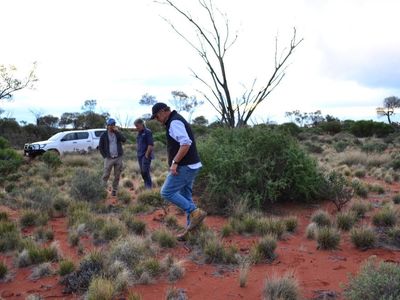 351461347 631022752007934 7142165355361397376 n