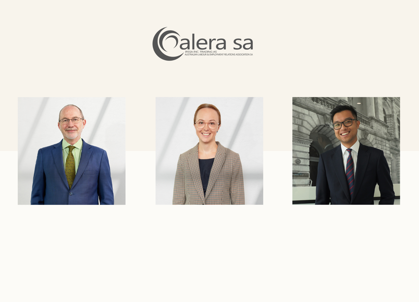 Alera SA articles 1