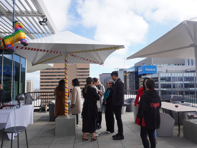 CRAFT CMS WIP Website Banner Image Size 30